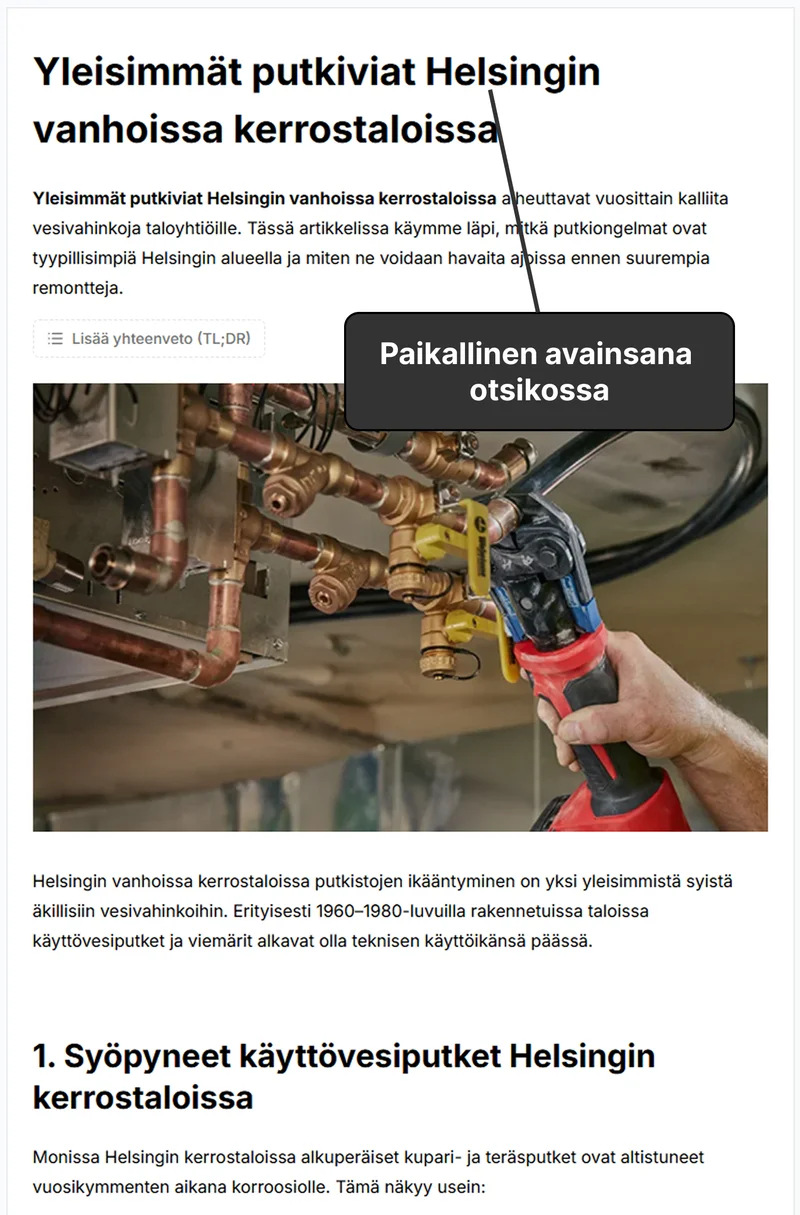 Hyva Seo Blogiartikkeli